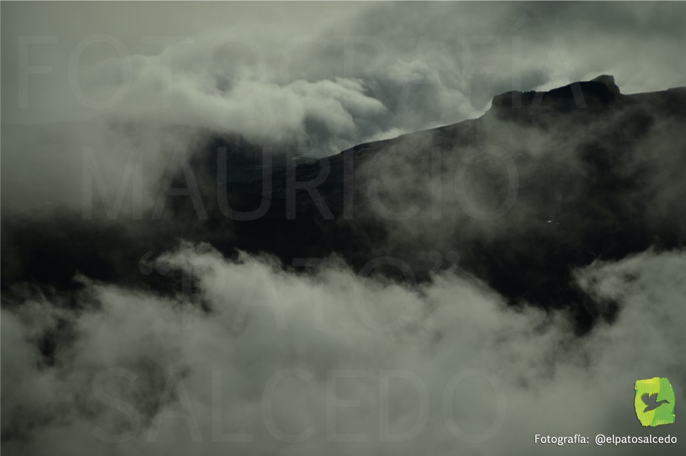 Cocuy DSC_1736 MARCADA