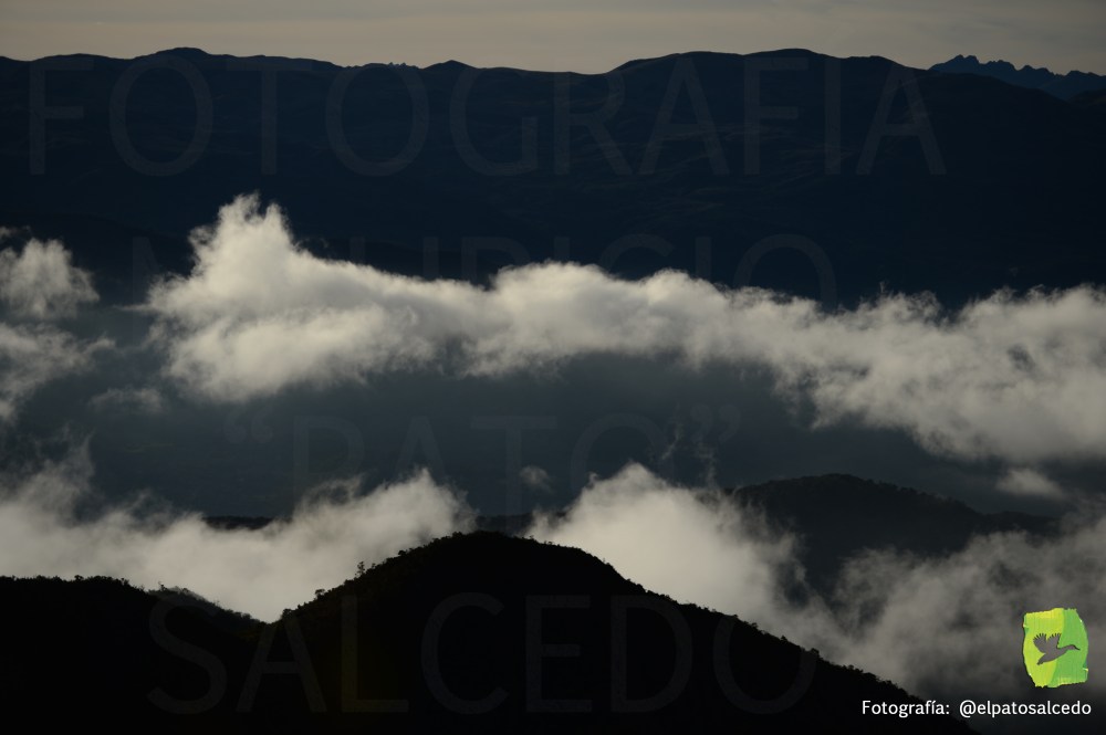 Chingaza DSC_8147 MARCADA