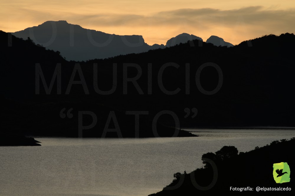 Chingaza DSC_8318 MARCADA