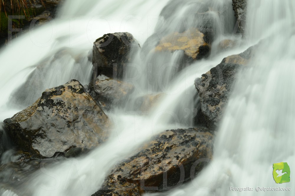 Cocuy DSC_1882 MARCADA